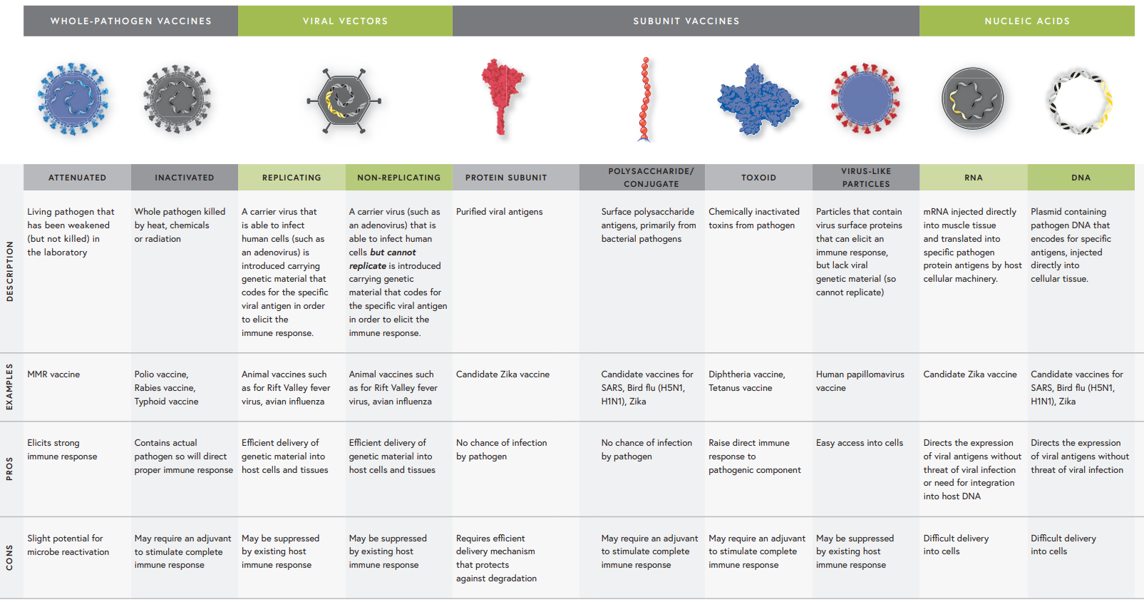 Vaccine Platforms