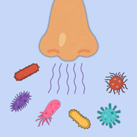 A graphic of a nose smelling a variety of microbes.