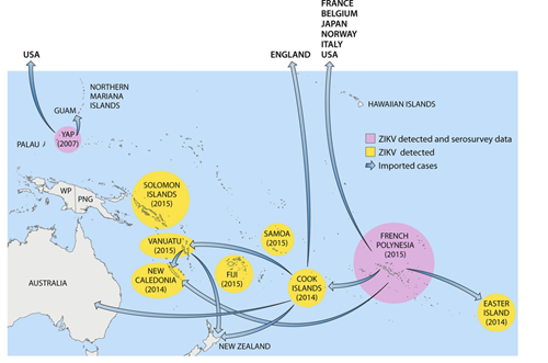 Pacific countries in which ZIKV circulation has been reported up to January 2016. Abbreviations: WP, West Papua; PNG, Papua New Guinea.